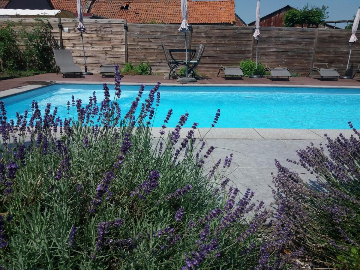 Chambres D Hotes ,Hotel ,Secret D'Une Nuit A Vicq Pres De Onnaing,Avec Piscine Exterior photo